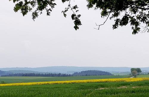 Premium Vulkaneifel Chalet - Foto 30