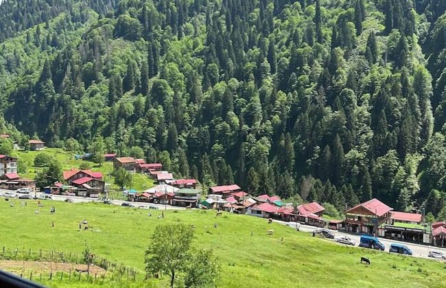 Ayder Yardımcı Apart - Foto 11