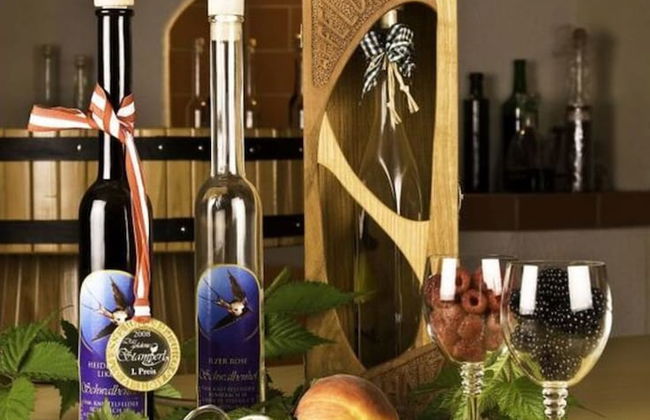 Apartment in St. Stefan im Rosental - Foto 14