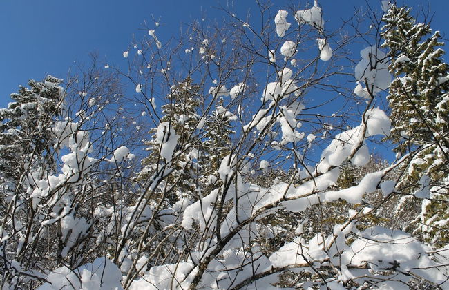 Gorgeous Apartment in Neuburg With Terrace - Foto 79