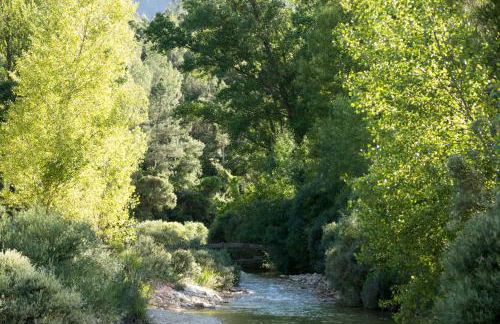 CASAS RURALES Vado del Rio Tus - Foto 11