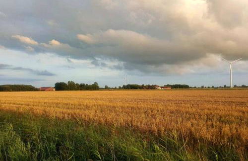 Klein-Tjücher-Grashaus 4 - Foto 21