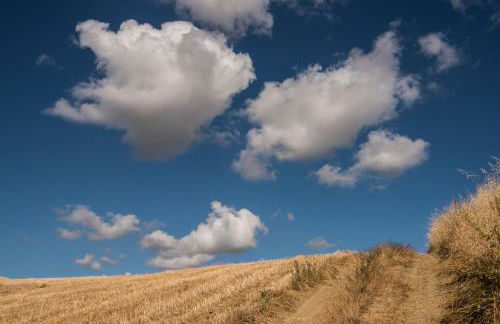 Relais Cocci Grifoni - Panoramic Wine Resort - Foto 68