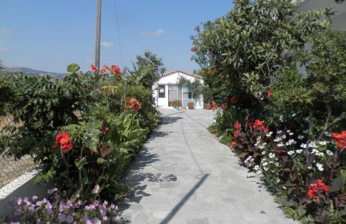 Silvi Mari Apartments - Foto 54