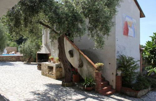 Fattoria Cristina - Fenice - Foto 13