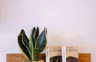 La RESIDENCE - Foto 23