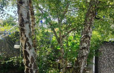 Villa Angelina La Baule - Photo 14