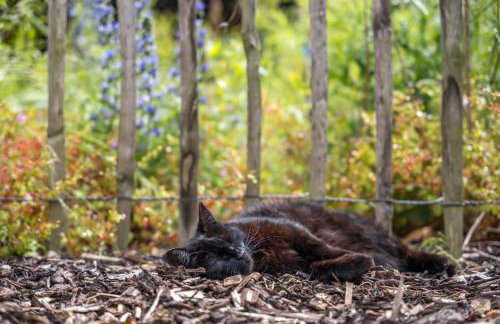 Large Country Cottage, Sleeps 8 - Spa Facilities, Garden Bar, Catering Services, Free Parking, Nature Reserve, Hen Parties - Foto 43