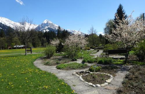 Ferienwohnungen im Färberhaus - Foto 24