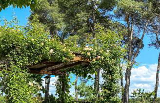 Country Loft at Palazzo di Bagnaia - Foto 25