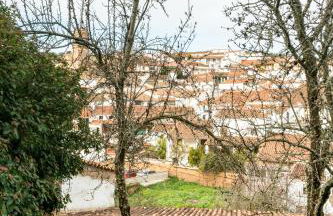 El Zarzo de Nemesio, chimenea barbacoa 2 Hab 4 Pers mas 2 Max - Foto 49