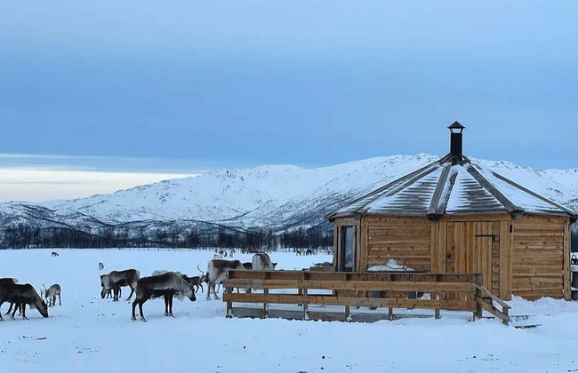 Paseo en trineo de renos y visita a un campamento sami - Foto 8