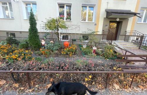 Cosy studio in quiet location - Foto 3