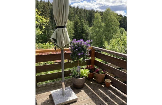 Appealing Apartment in Lenzkirch - Foto 32