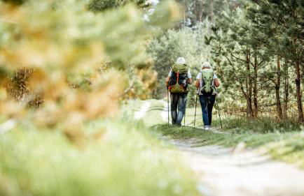 7Seas Boutique Ferienhaus Bostalsee - 2 Apartments oder ganzes Haus, mit Sauna - Foto 3