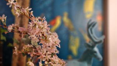 Iris la fleuriste - Foto 2