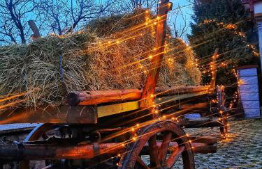 Angel Holiday House - Foto 29