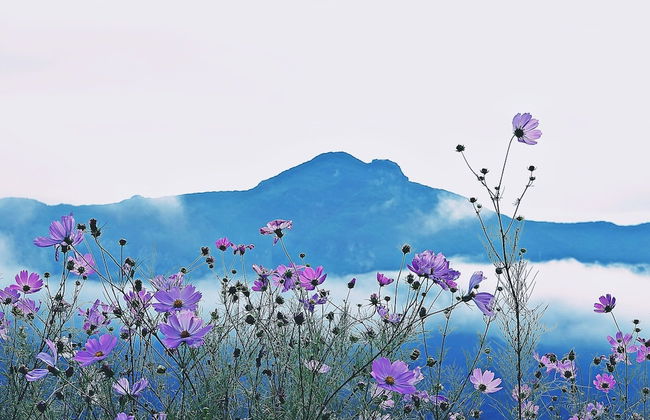 Just Like Natural Home Pension - Photo 58