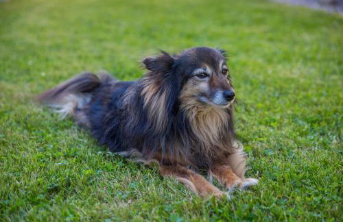 Apartman Borik - Foto 18