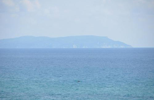 Villa Eleftheria - Foto 29