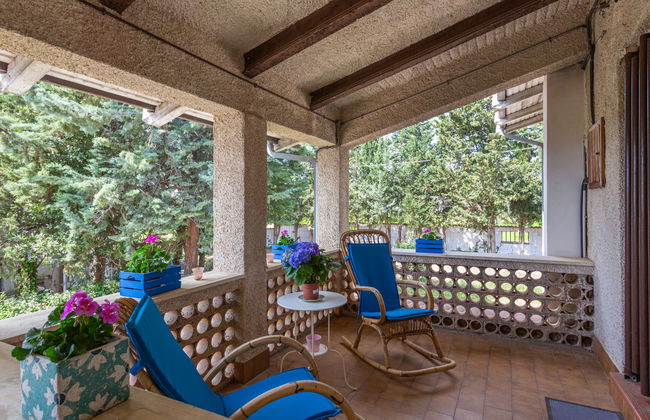 Bouganville - Foto 22