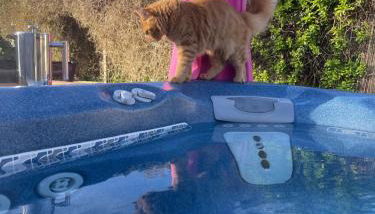 Ivy Cottage - Foto 2