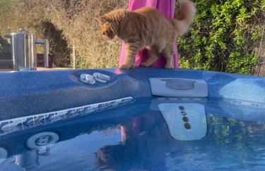 Ivy Cottage - Foto 2