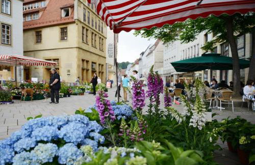 Boardinghouse Bielefeld - Photo 10