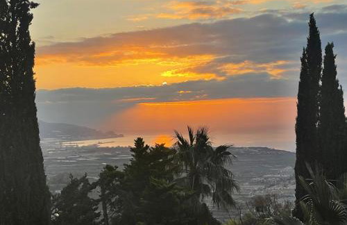 Villa Tropical Dream - Photo 18