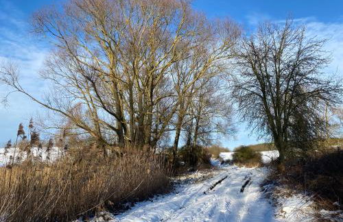 Klein aber fein in der Altstadt - Photo 24