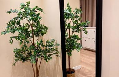 Apartamentos Prestige Málaga - Suite V - Photo 23