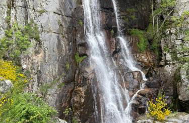 Maison hortensia - Foto 28