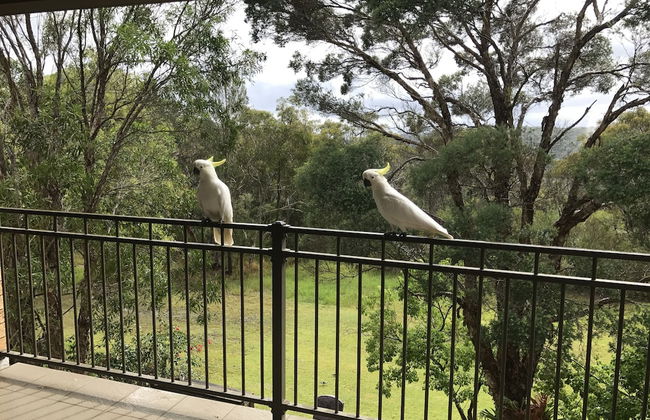 Kookaburra Retreat - Foto 24