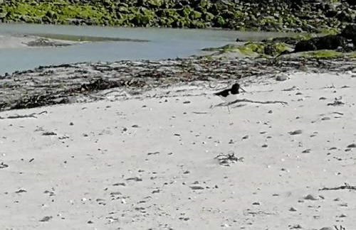 The Fisherman's Snug self catering North Uist - Foto 52