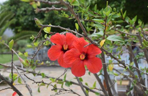 Grandes Apartments Kouremenos - Photo 24