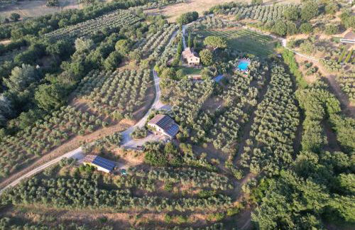 Fontanaro Farm and Culinary School - Foto 52