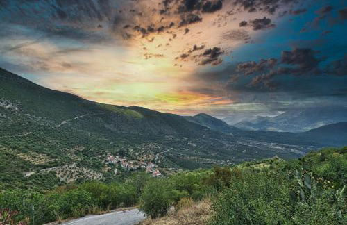 Tutti Fruti - Foto 9