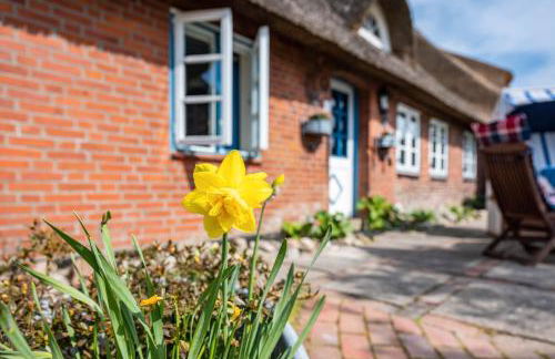 Ferienhaus Voß - Foto 26