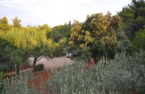 Apartments Basina - Foto 34