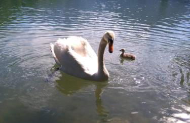 Villa Anna - Foto 41