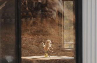 Spacious 4-bedroom cabin on secluded private land - Foto 38