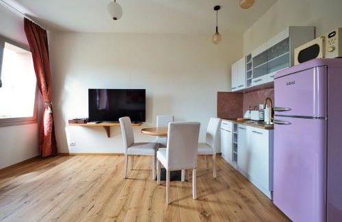 Ap 2 Free Parking Romantic Garden Venice - Photo 19