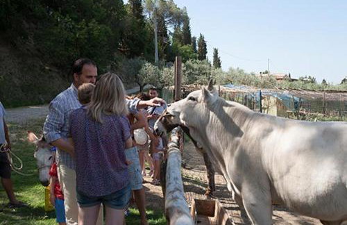 L'Agriturismo di Montalbino - Foto 33