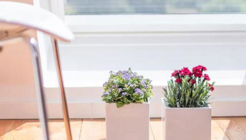 Gartenhaus Land-Idylle in der Stadt - Foto 3