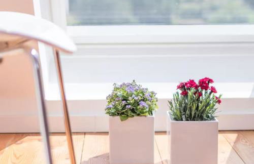 Gartenhaus Land-Idylle in der Stadt - Foto 3