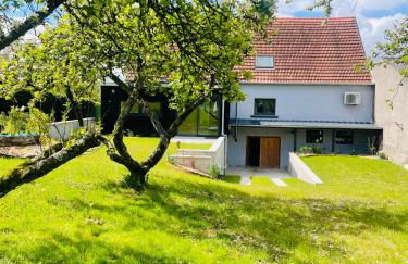 Maison Gite Chez Nounou sauna jacuzzi jardin arboré non clôturé - Photo 16