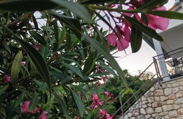 Apartman MARIJETA - Foto 55