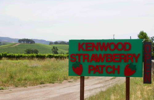 Hilltop Haven - Scenic Getaway Near Top Wineries - Foto 27