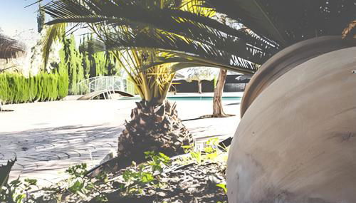 Charming House in Estepa with Mountain View - Foto 2, Garden view