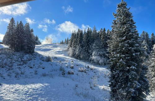 Haus Wiesenquelle, Deluxe-Apartment 'Feld & Berg' - Foto 22